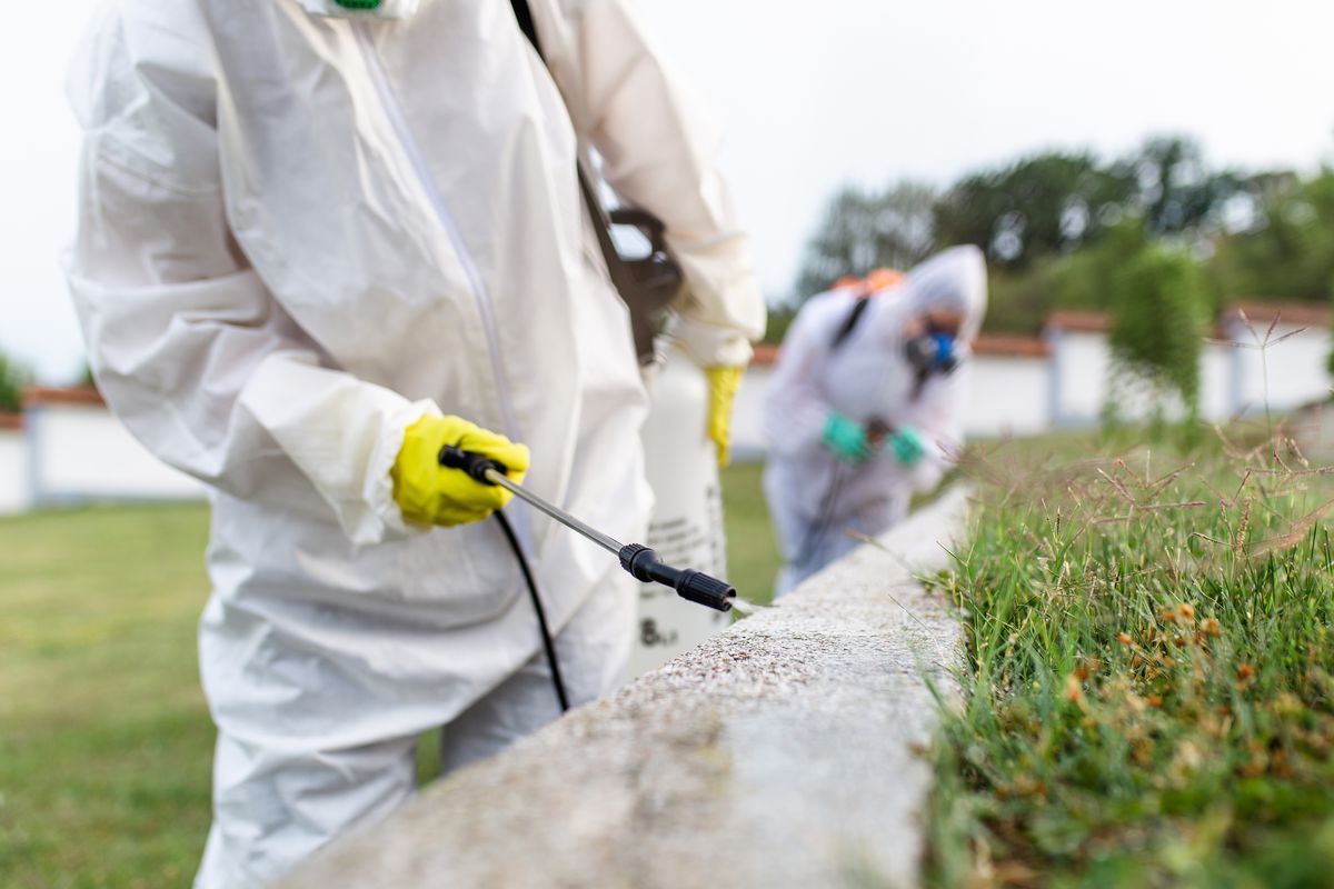 A man in a protective suit is spraying a lawn with a sprayer.