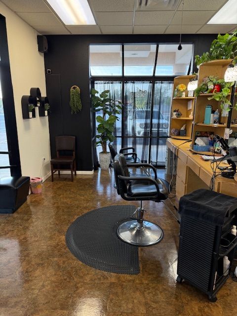 Hair salon interior with styling chair, black walls, and decorative plants.