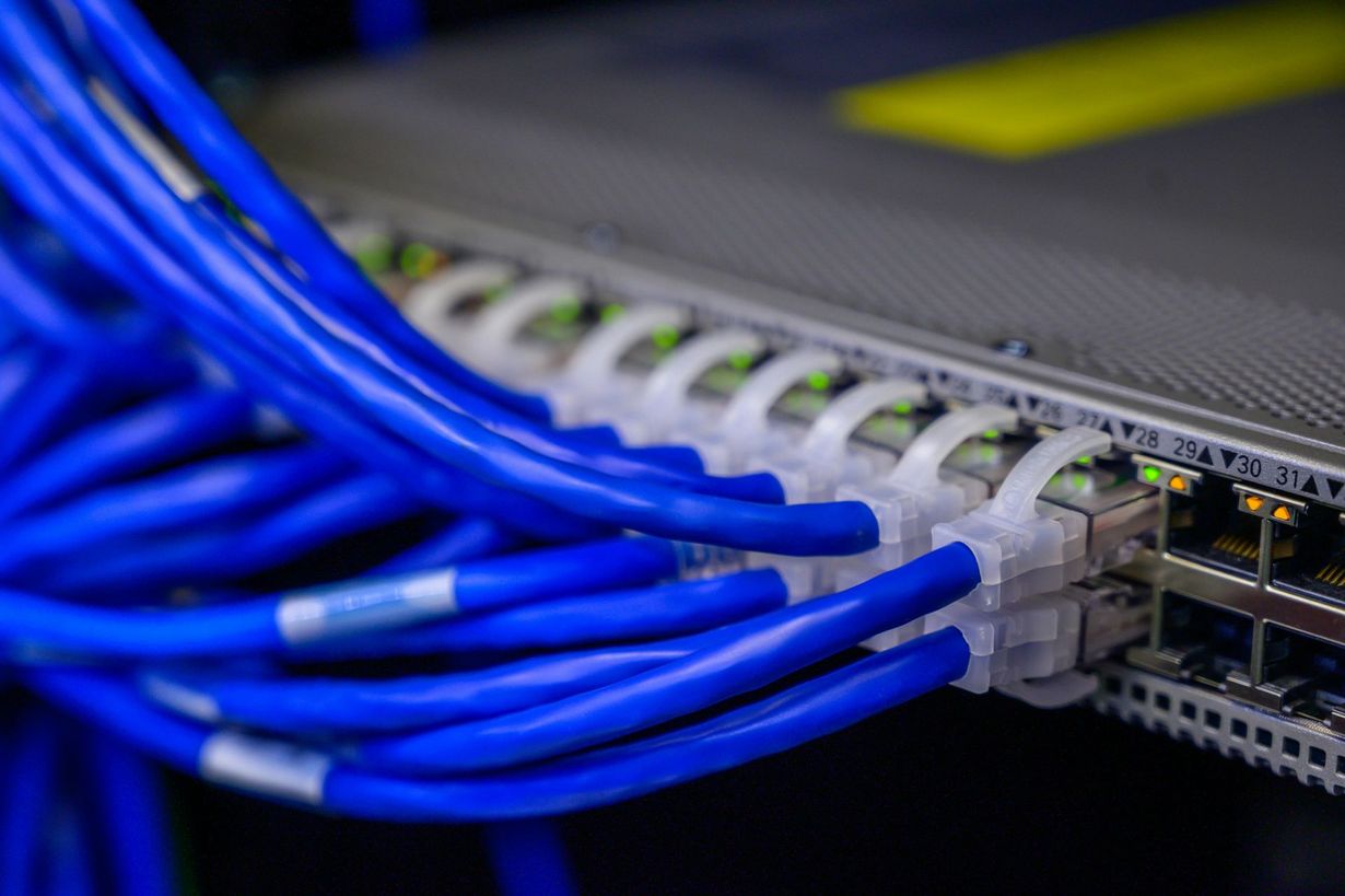 A row of blue Ethernet cables connected to the ports of a network switch in a server rack.