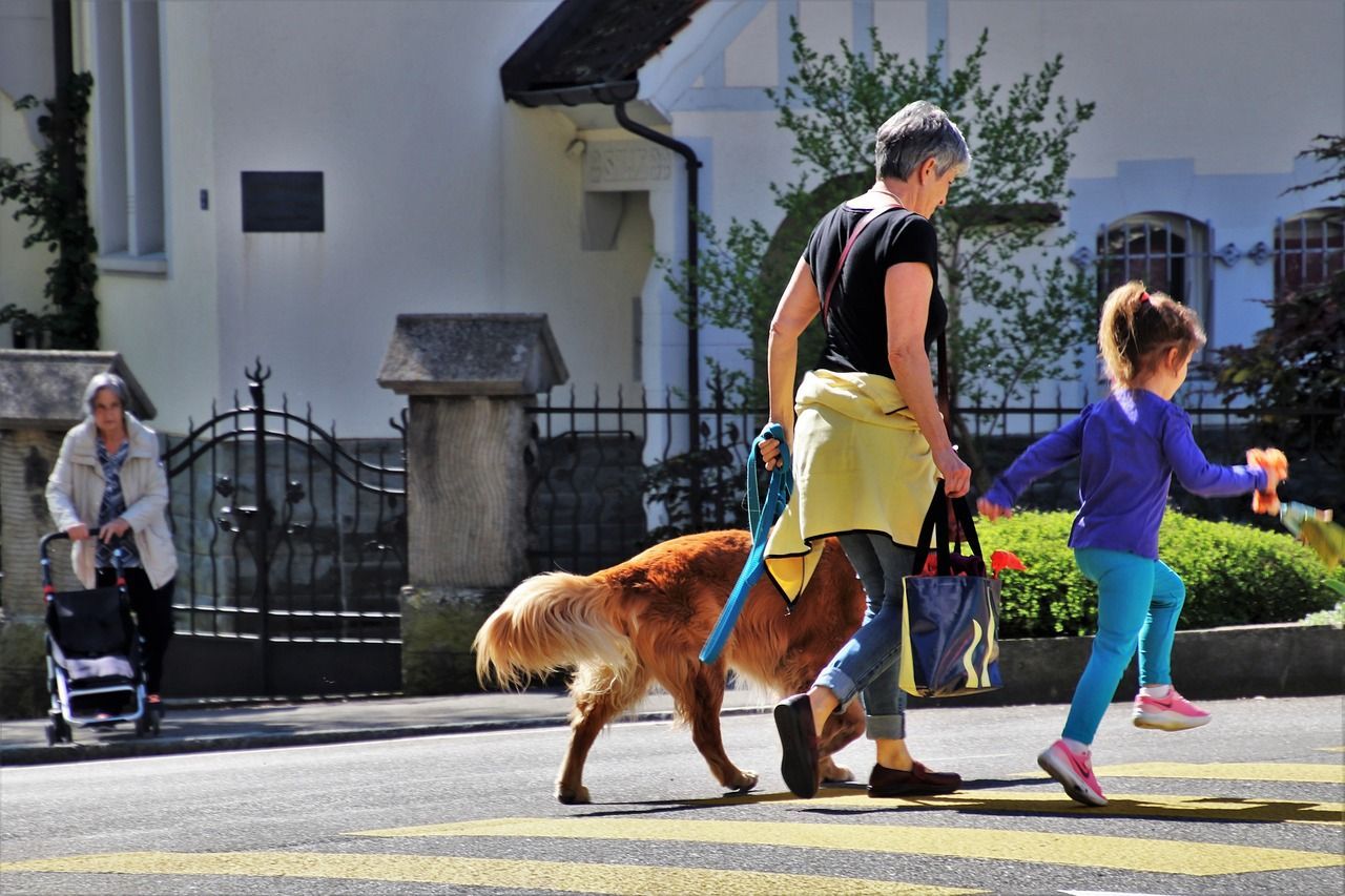 a woman is walking a dog on a leash while a little girl runs behind her