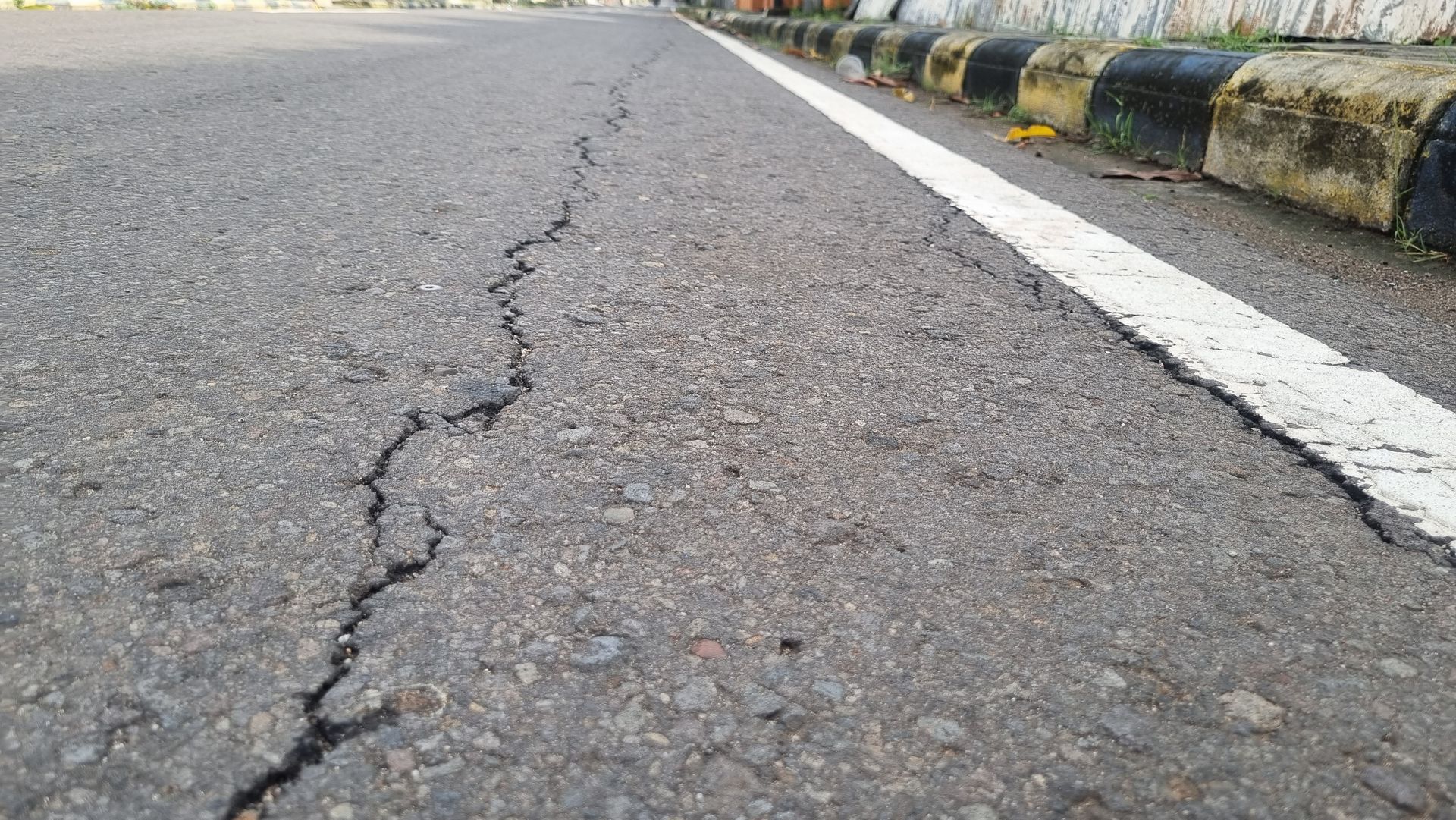 A close up of a cracked road with a white line on the side.