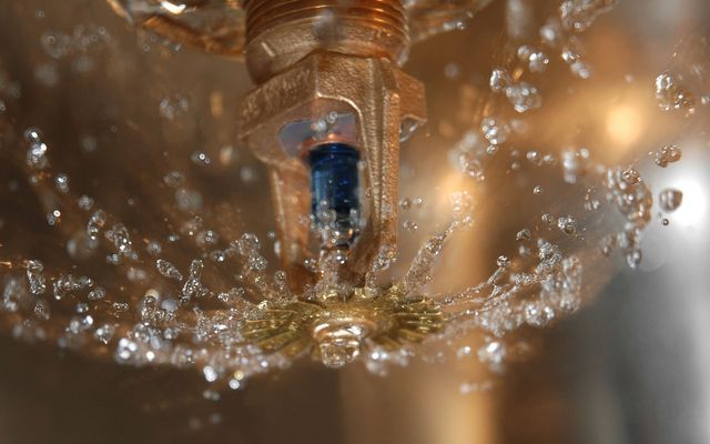 water sprinkler with water