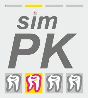 Logo der Systemprophylaxe sim-PK