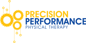 precision performance physical therapy logo