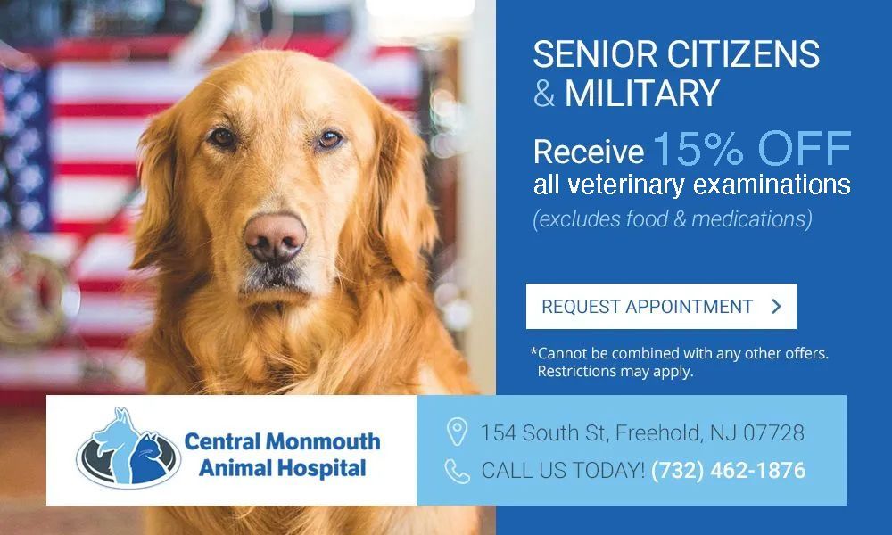 15% off senior and military vet exams at Central Monmouth Animal Hospital in Freehold, NJ