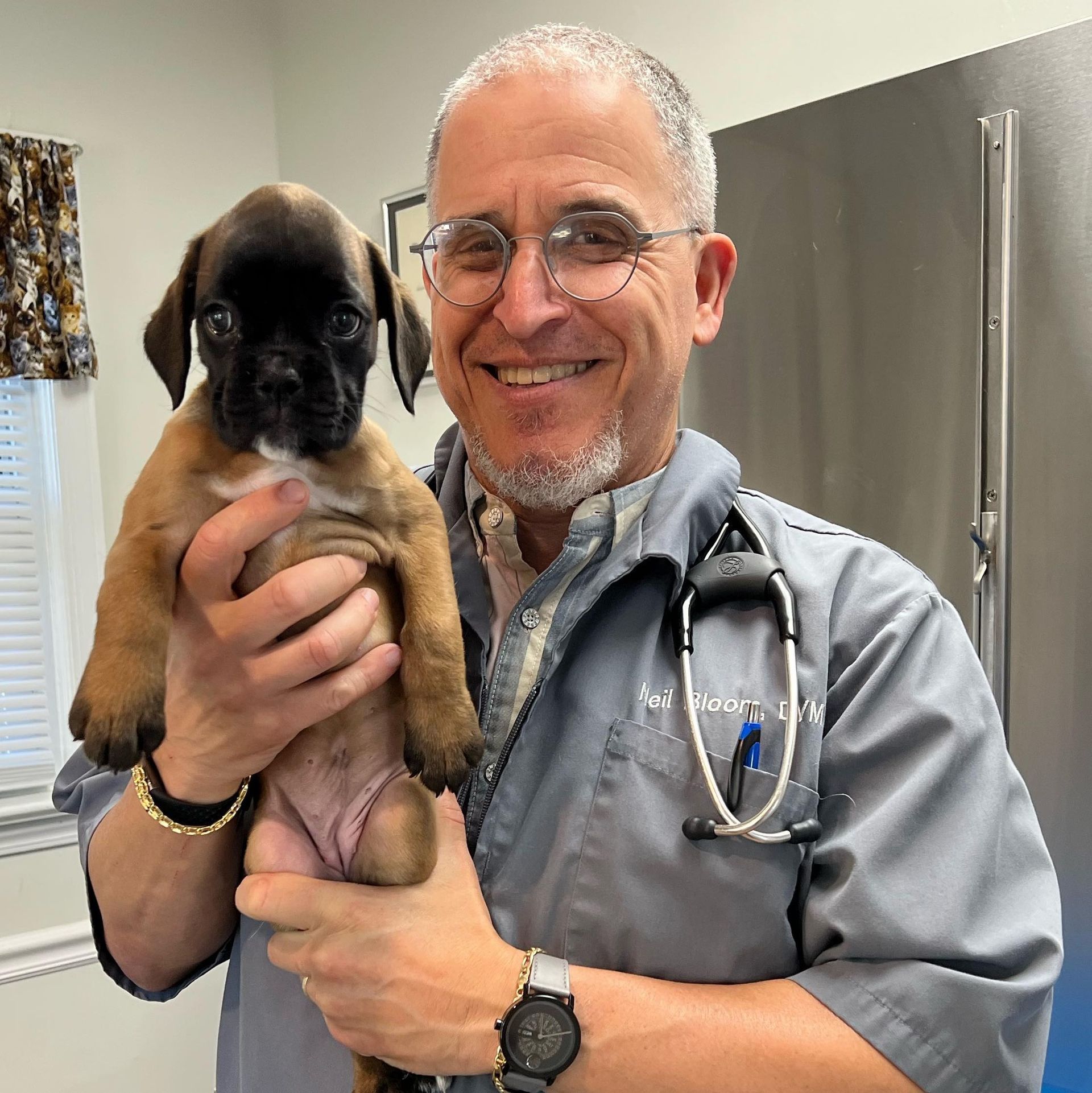 Dr. Neil Bloom, DVM of Central Monmouth Animal Hospital, smiling while holding a brown boxer puppy in a veterinary exam room