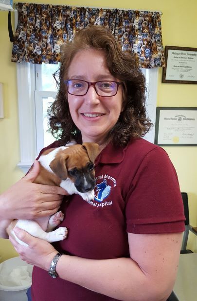 Phyllis Bloom of Central Monmouth Animal Hospital holding a brown and white puppy inside the clinic near veterinary diplomas