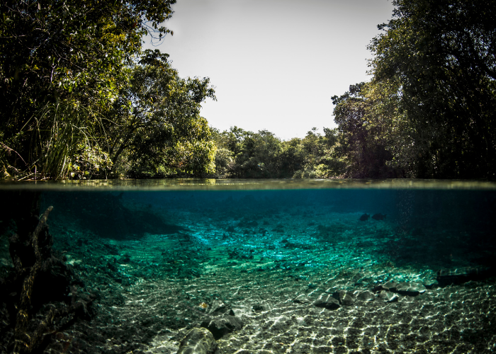 Bonito, Mato Grosso do Sul