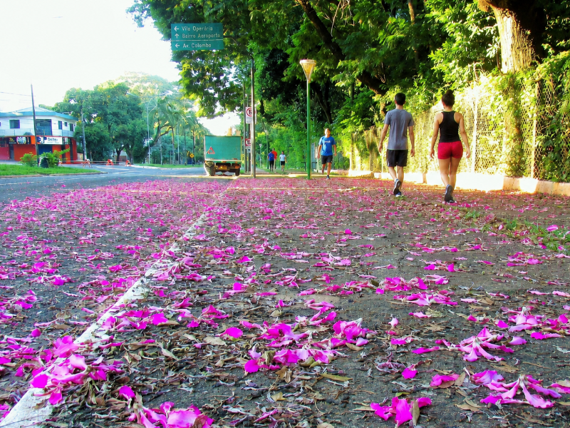 Pessoas andando pelas ruas de Maringá no período de outono 