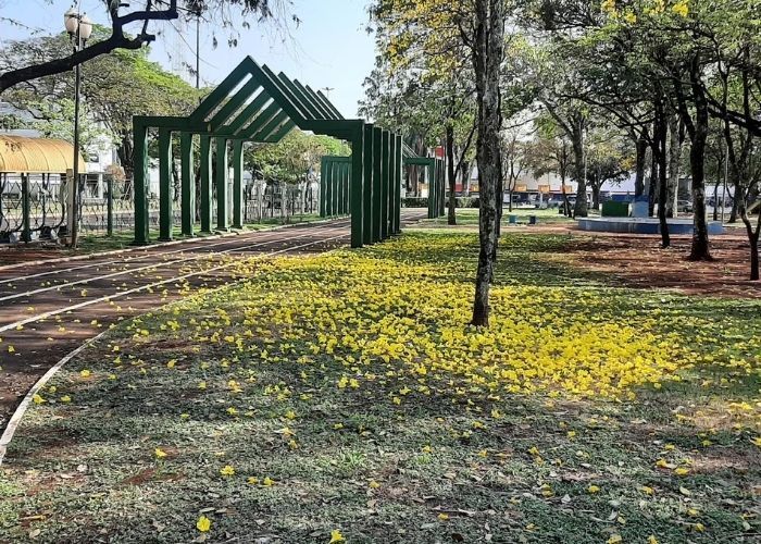 Parque dos Ipês Dourados - MS