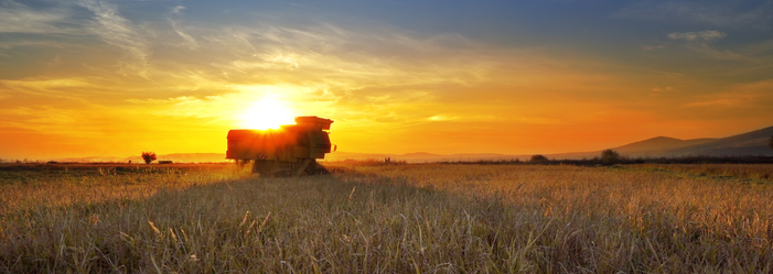 agronegócio dourados