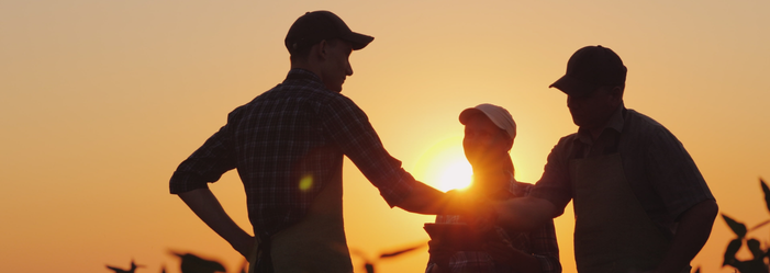 Três profissionais do agronegócio conversando no campo durante reunião de negócios