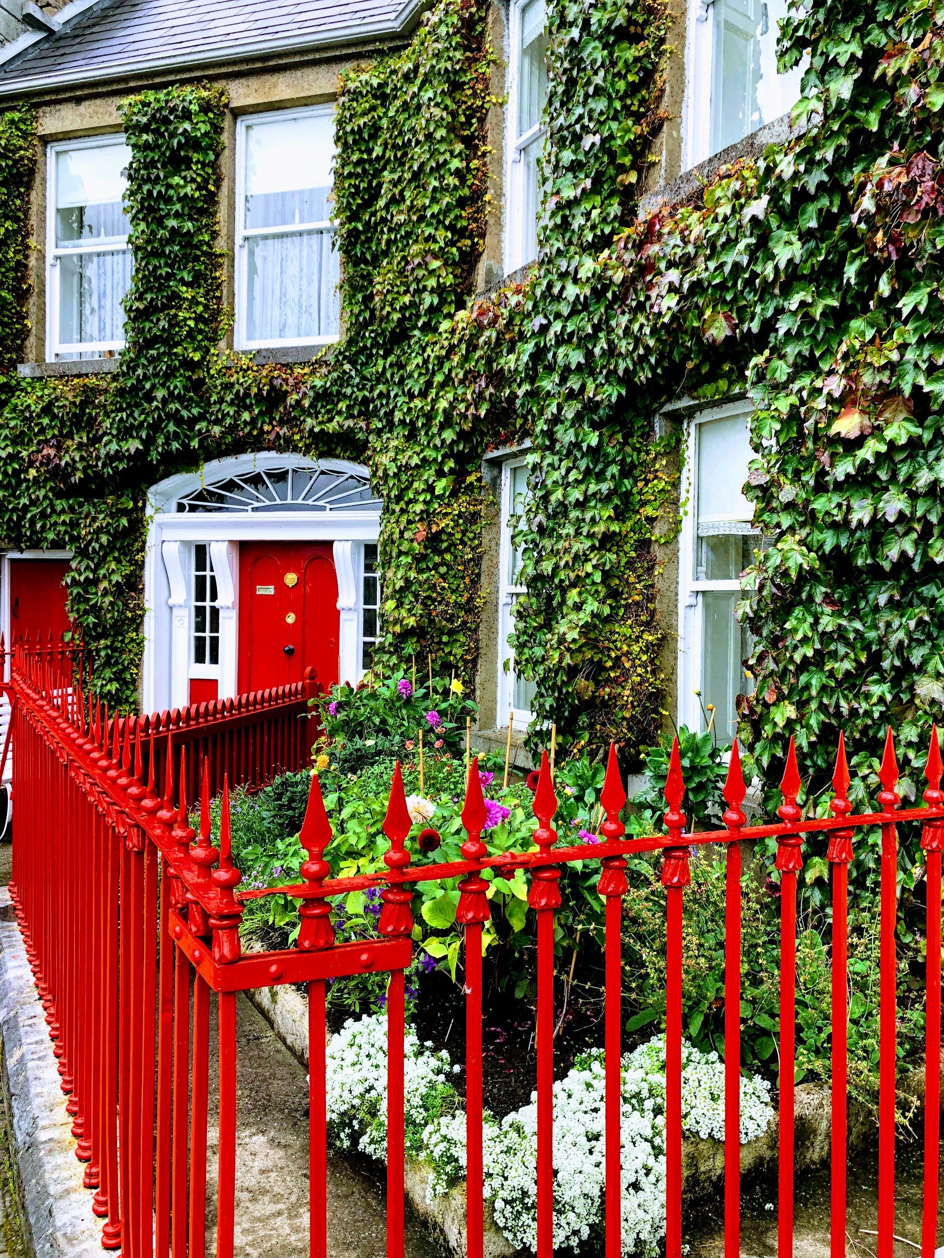 Red fence surrounds a house covered in green ivy, red door and trim.