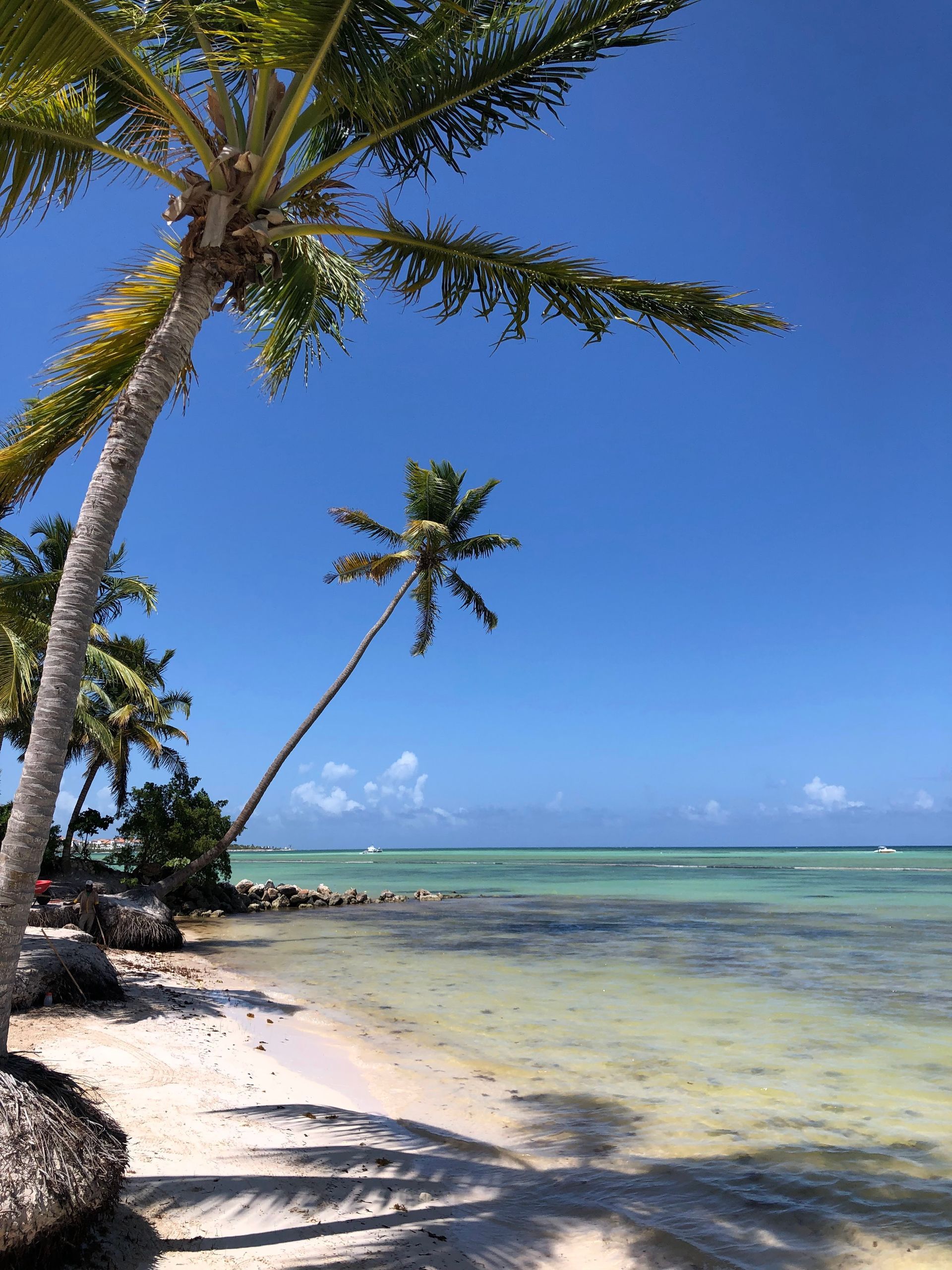 Palm trees on a sandy beach, turquoise water, and clear blue sky.