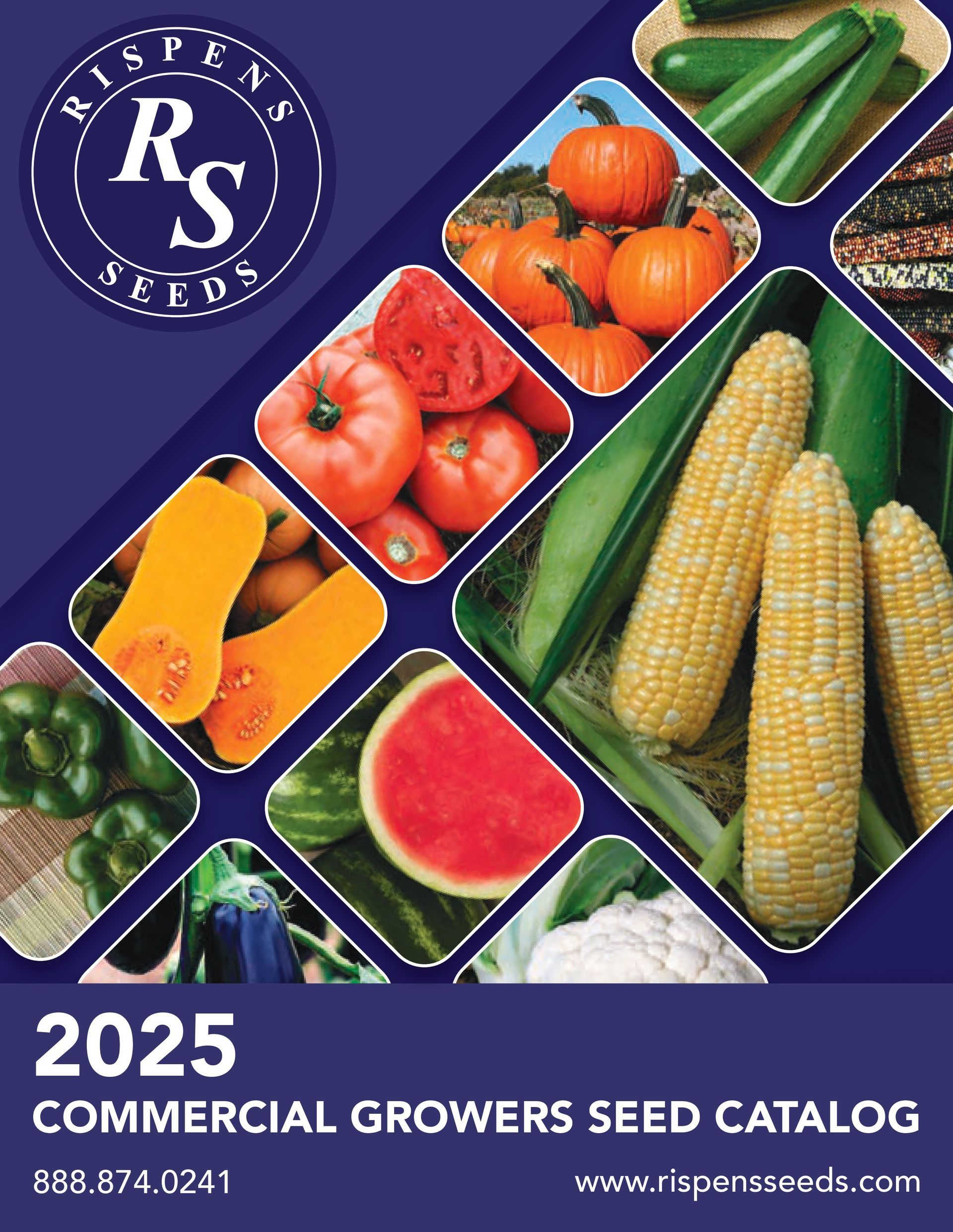 New Catalog — 2025 Rispens Seeds Catalog in Beecher, IL