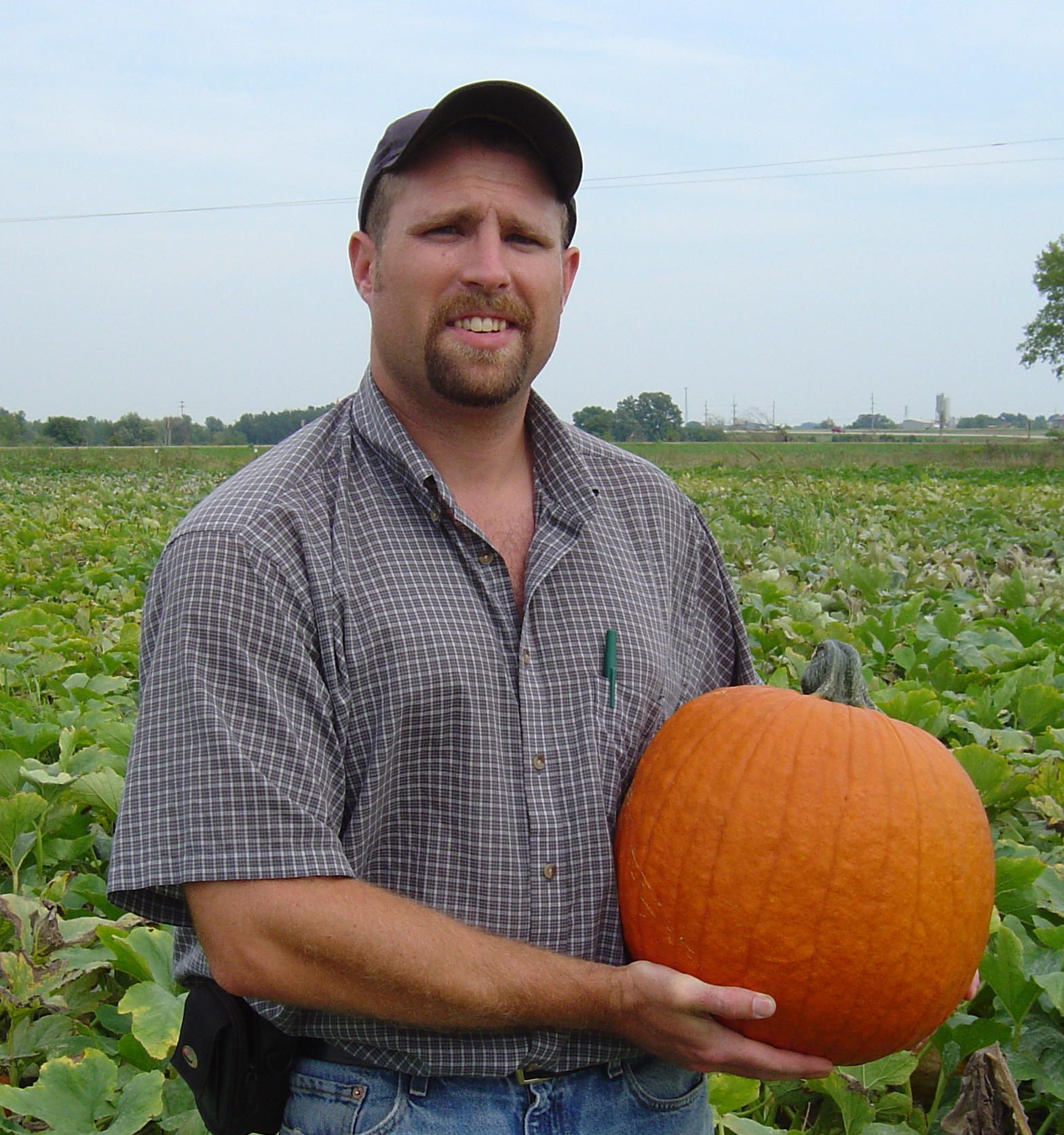Vegetable Growers — Ian Jenkins in Beecher, IL