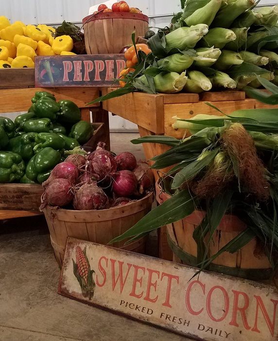 Commercial Growers — Different Types Of Vegetables in Beecher, IL