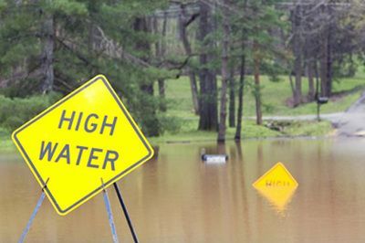 Flooded road with two yellow HIGH WATER signs and trees in the background