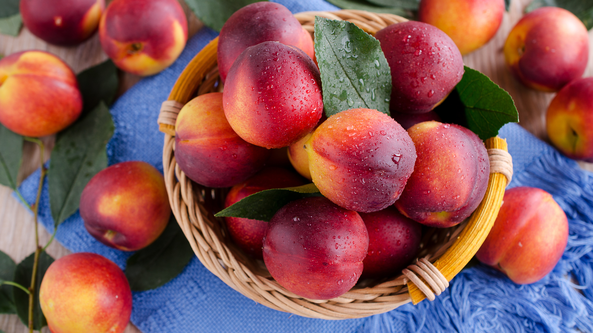 fresh Nectarines