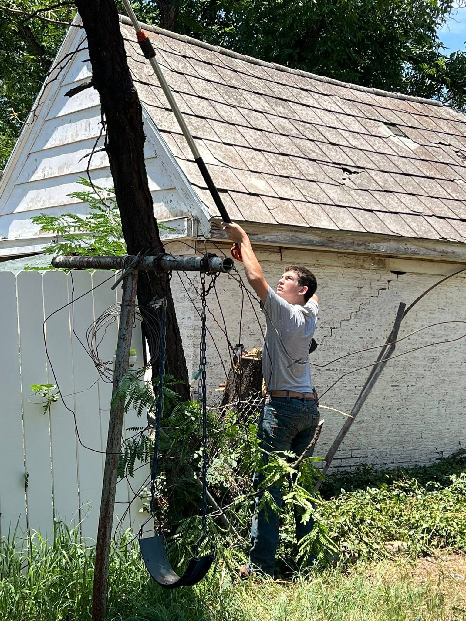 Man using a pole saw to trim a tree branch near a shed with a swing.