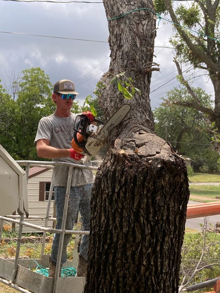Man in a lift using a chainsaw to cut a tree branch, outdoors on a cloudy day.