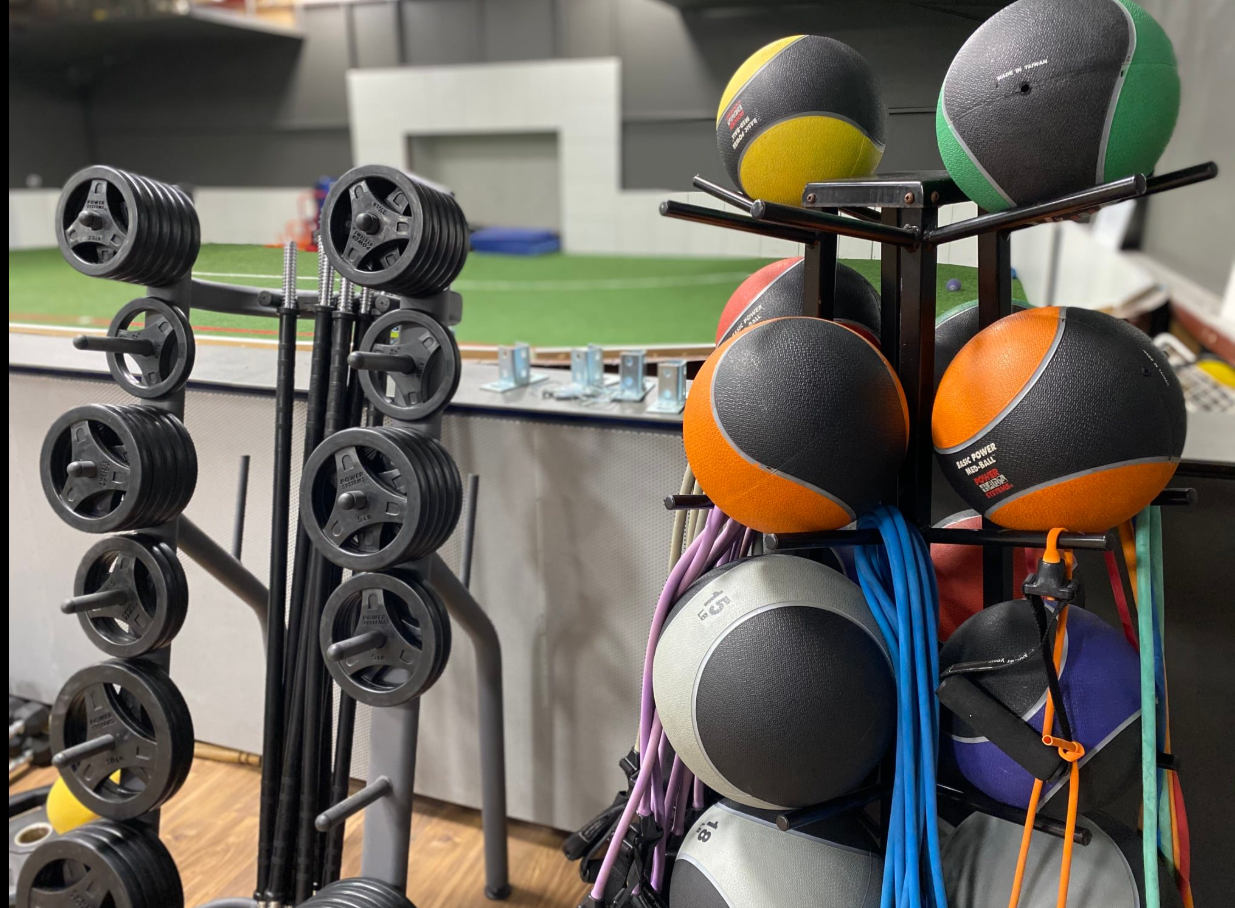 A bunch of medicine balls are sitting on a rack in a gym.