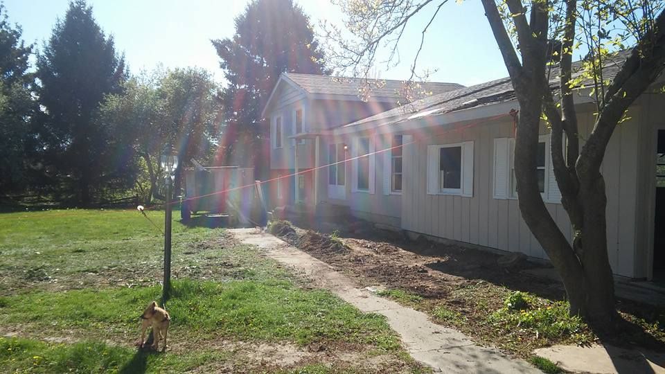 A house with a lot of windows is sitting in the middle of a grassy field.