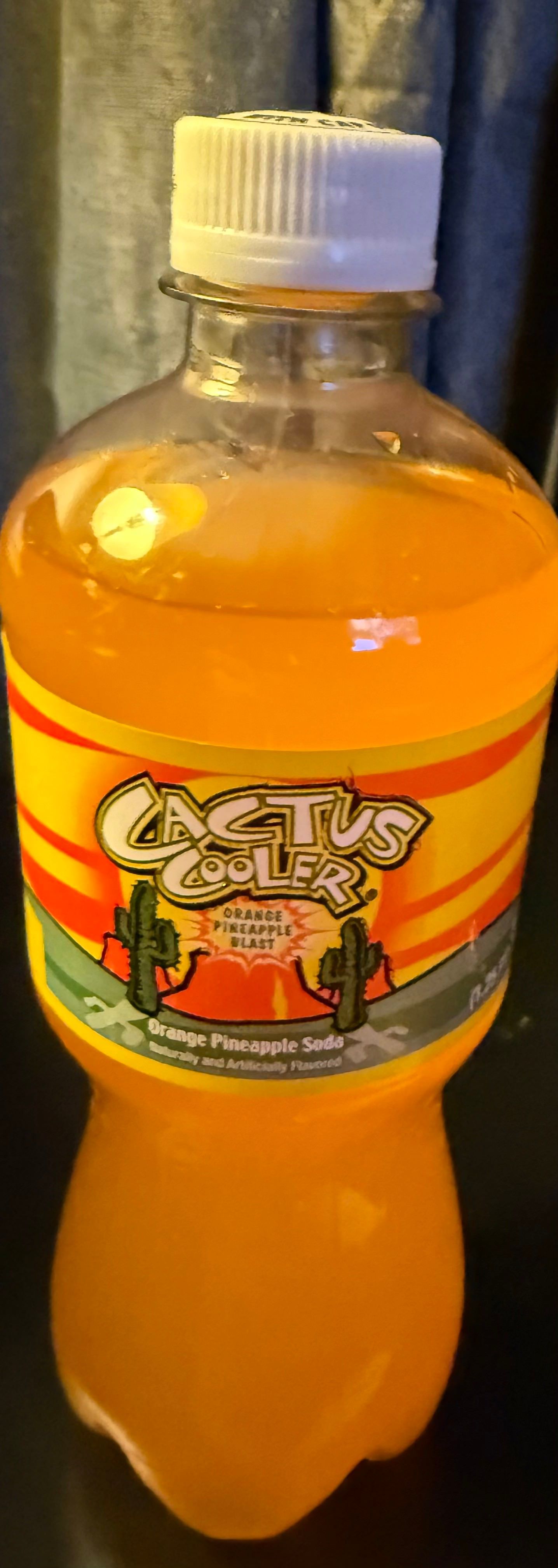 Cactus Cooler (USA)