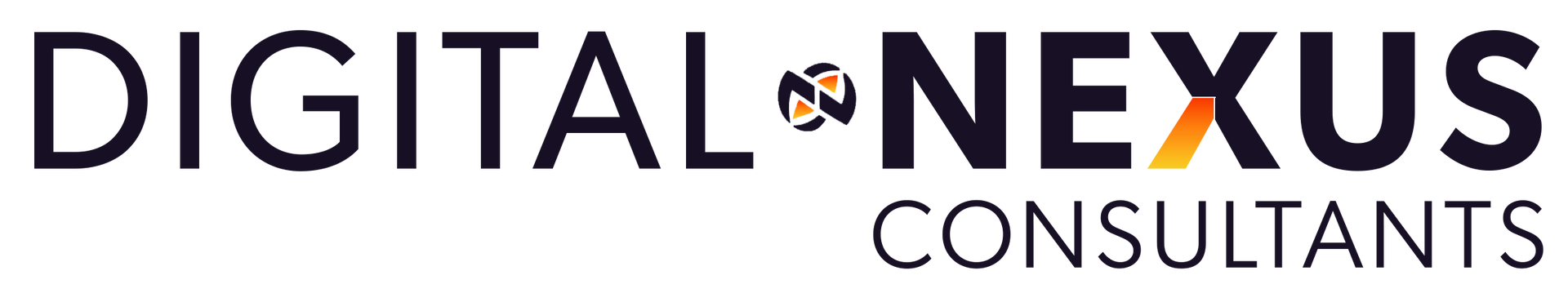 Digital Nexus Consultants logo with a stylized