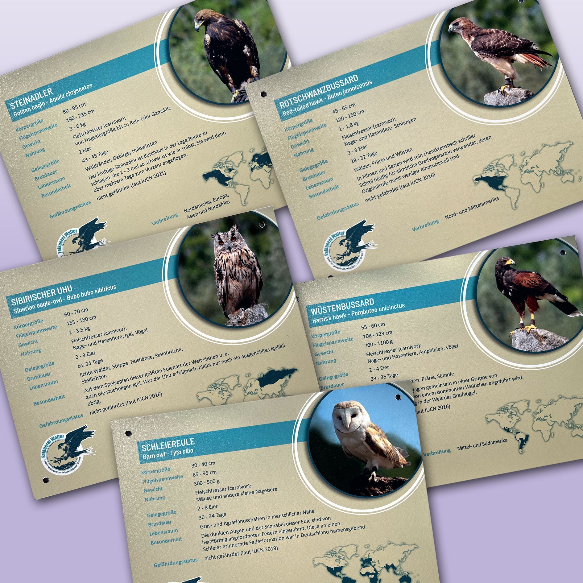 Falknerei Walter Gehegeschilder