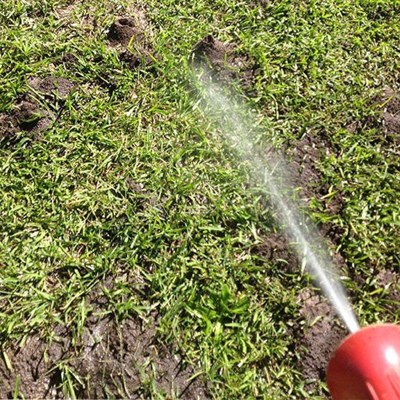 Spraying Funnel Ants — Terminator Ant & Pest Control in Nambucca Heads, NSW