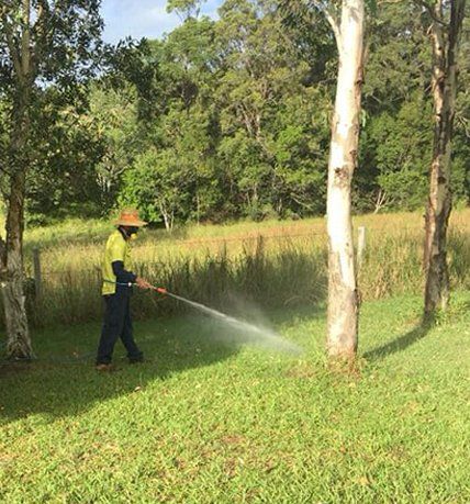 Pest Control Spraying Outside — Terminator Ant & Pest Control in Nambucca Heads, NSW