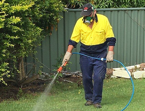 Pest Control Technician Spraying Outdoors — Terminator Ant & Pest Control in Nambucca Heads, NSW