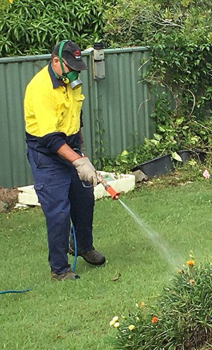 Pest Technician Spraying Plants — Terminator Ant & Pest Control in Nambucca Heads, NSW