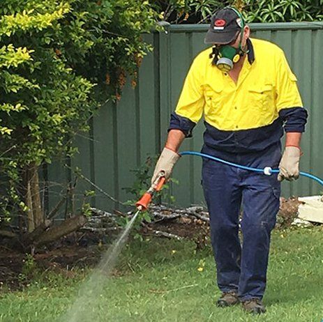 Pest Control Technician Spraying Outdoors — Terminator Ant & Pest Control in Nambucca Heads, NSW