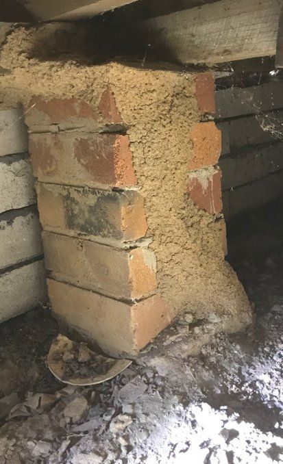 Termite Nest— Terminator Ant & Pest Control in Nambucca Heads, NSW