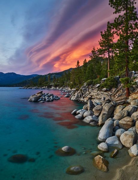 The Eadington Gallery- Top Rated Art Gallery - Tahoe City, California