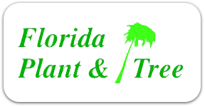 Florida Plant & Tree
