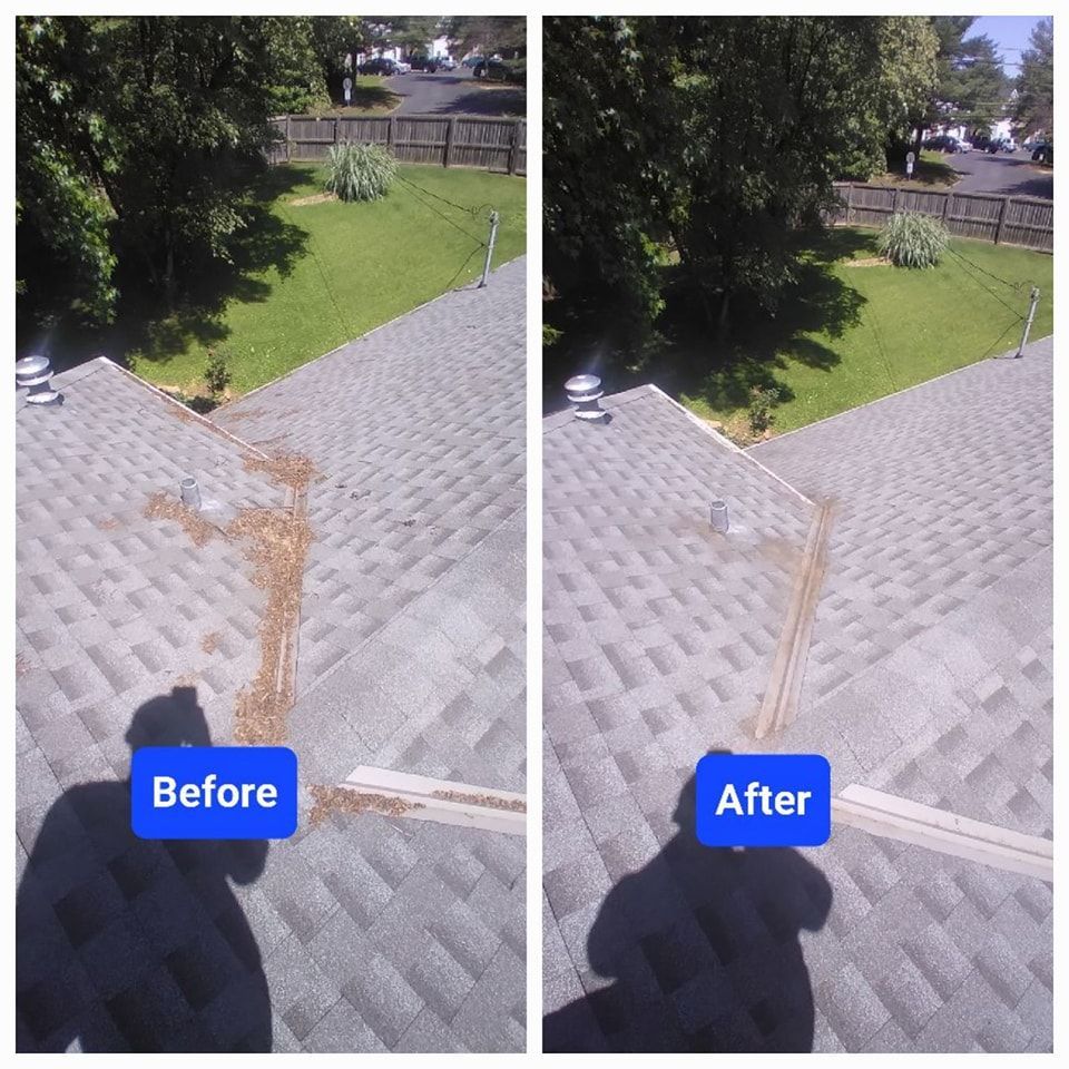Before and After Roof Cleaning