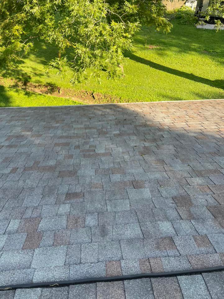 Shingle Roof Under Sunny Day