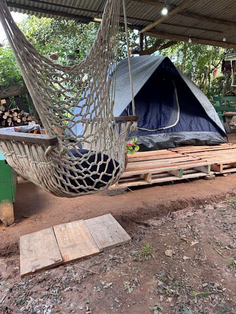Rede e barraca montadas sobre paletes de madeira, em uma área coberta, em um ambiente natural.