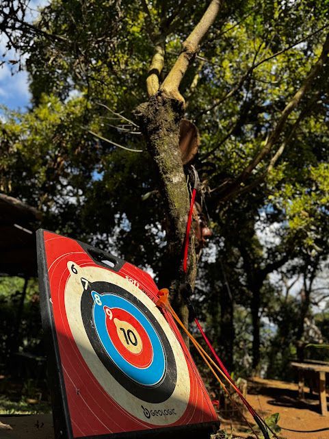 Alvo de arco e flecha em um ambiente natural. O alvo possui anéis vermelhos, azuis e amarelos. Árvores e céu ao fundo.