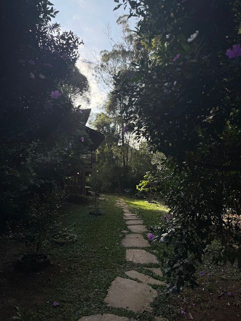 Caminho de pedra através de um jardim verdejante em direção a um edifício parcialmente visível, com o céu claro acima.