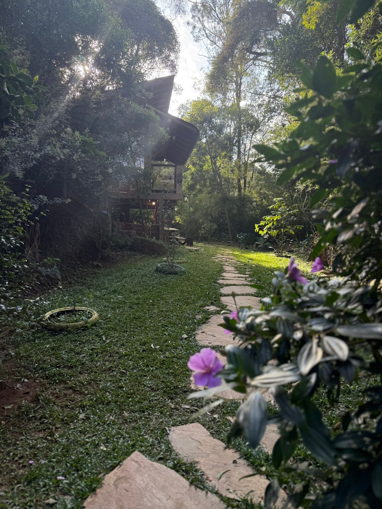 Um caminho de pedra conduz a uma estrutura de madeira em uma floresta verdejante e ensolarada.
