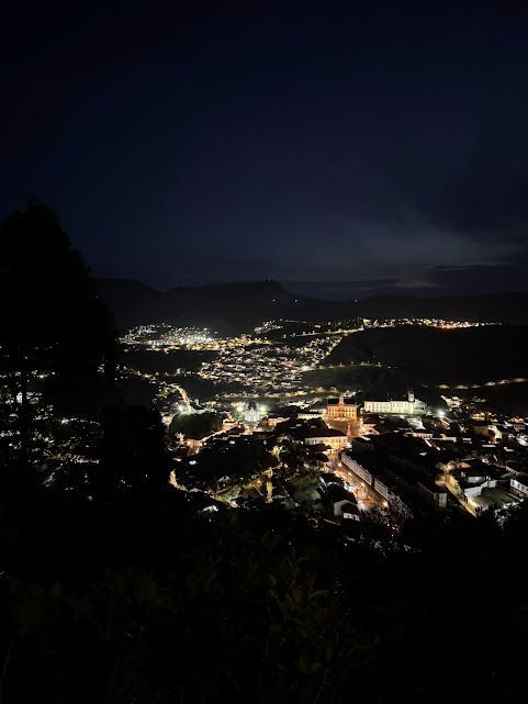 Luzes da cidade à noite vistas de um ponto elevado; silhuetas escuras de árvores em primeiro plano.