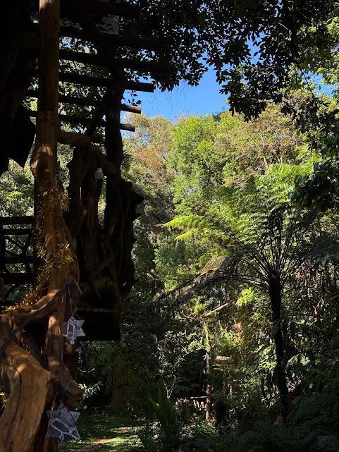 Escadaria de madeira que leva ao topo de uma exuberante copa verde da floresta.
