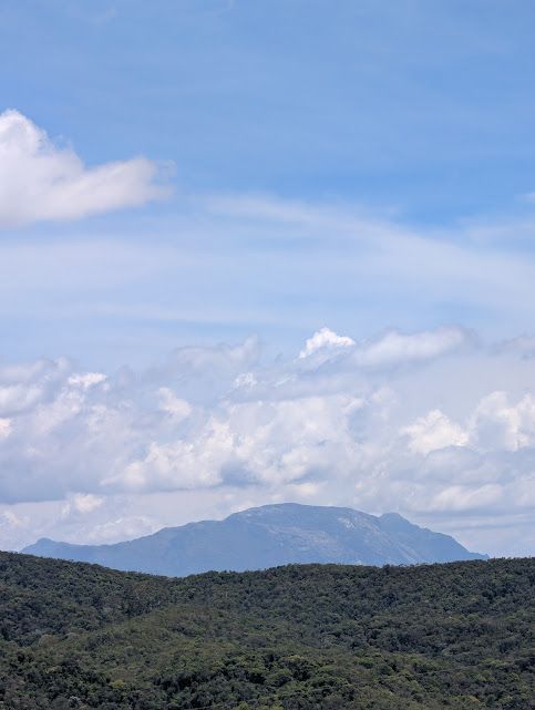 Cadeia de montanhas atrás de uma floresta, com um céu azul parcialmente nublado.