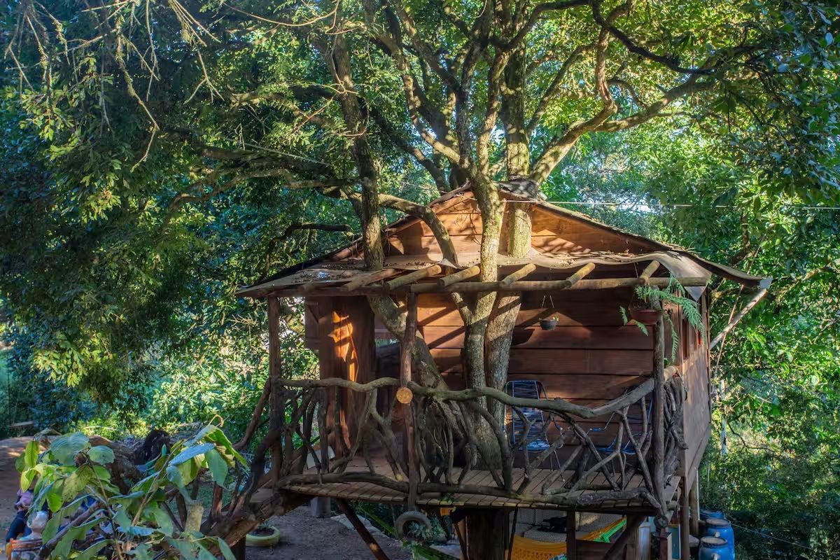 Casa na árvore de madeira, aninhada em uma árvore verdejante, com uma varanda rústica.