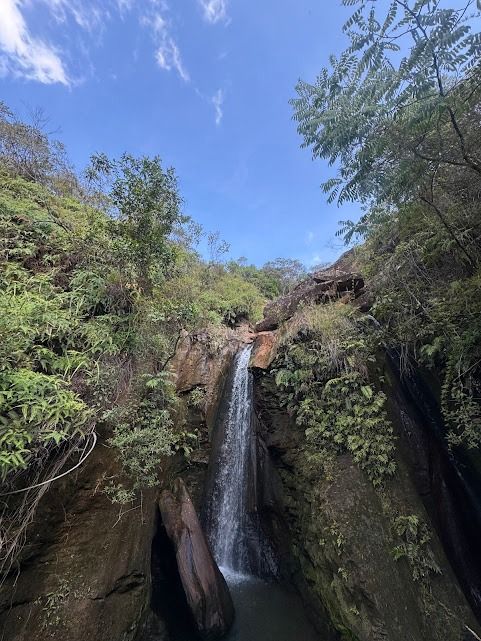Cachoeira que despenca de uma parede rochosa cercada por folhagem verdejante sob um céu azul.