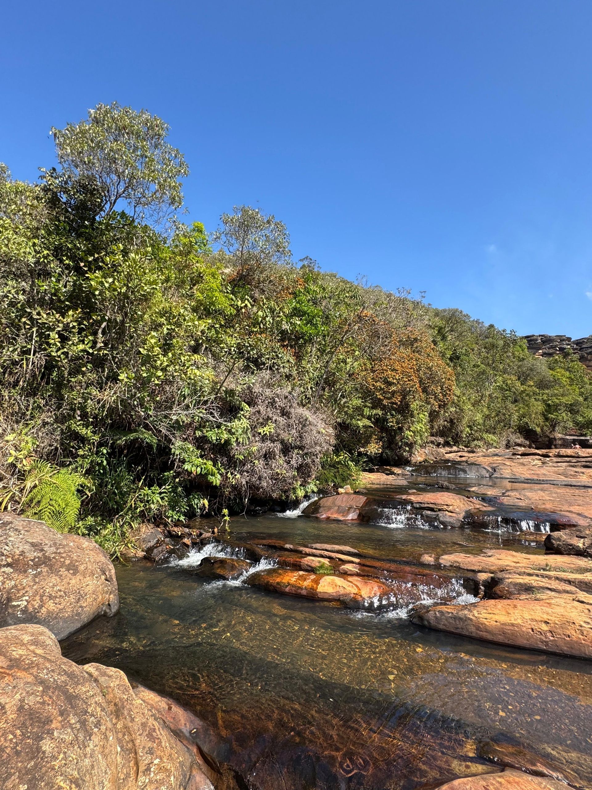 Riacho que corre sobre rochas, cercado por folhagem verdejante sob um céu azul límpido.